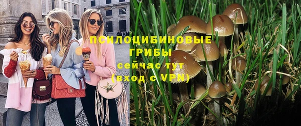 прущая мука Магадан
