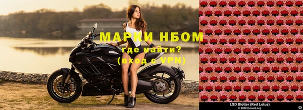 Альфа ПВП Мегион