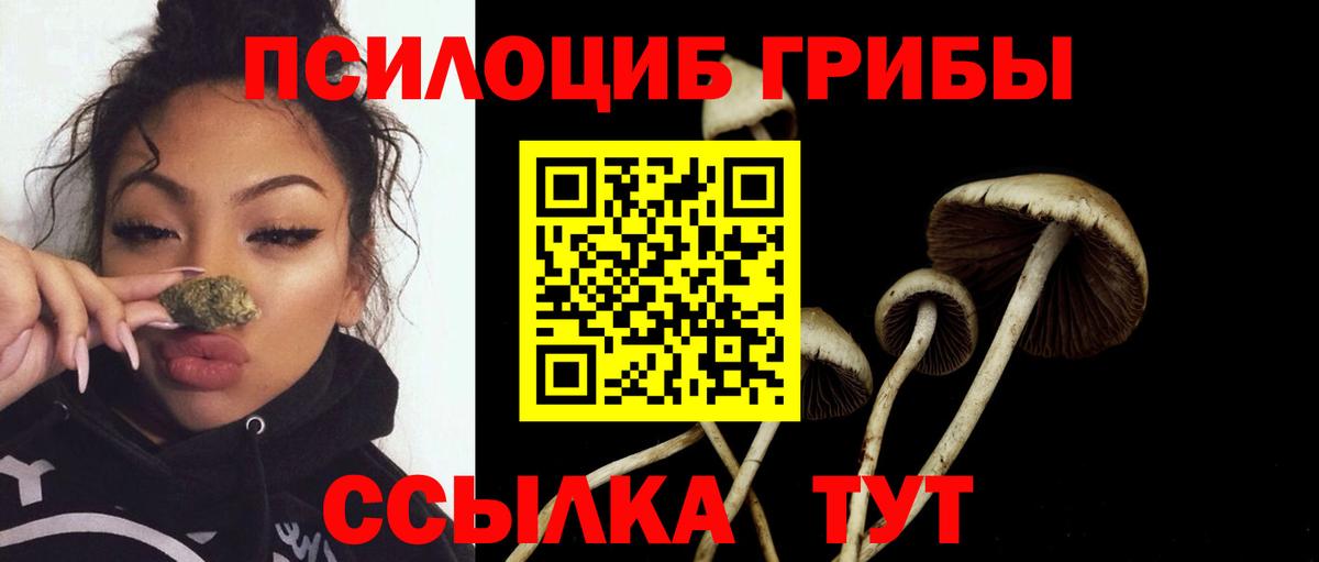 Лосино-Петровский  Вход с VPN  Меф   ГАШИШ 